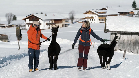 Na skialpech přes hory - Údolí Wipptal