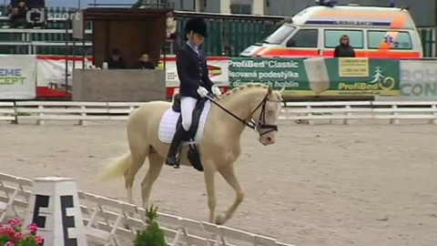 Jezdectví - M ČR v parkurovém skákání a drezuře pony 2014