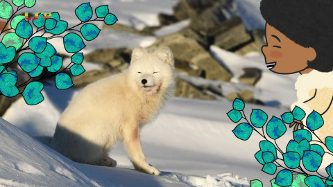 Velká kniha o zvířátkách - Epizoda 46/52