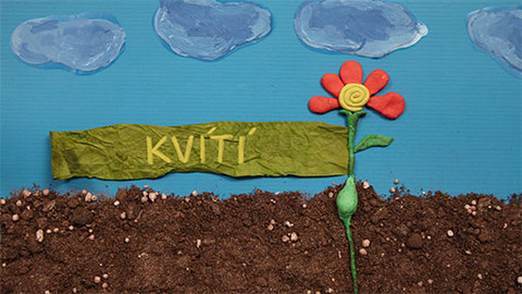 Živý svět: Kvítí