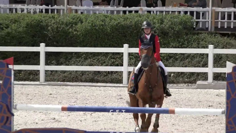 Jezdectví - Mezinárodní závody ve skákání CSIOchJY Zduchovice