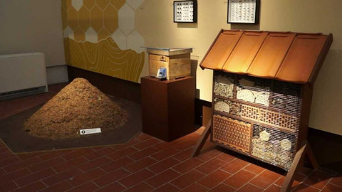 Tamtam - 22. července 2023