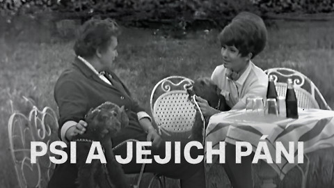 Psi a jejich páni