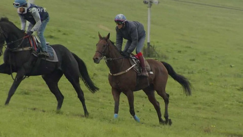 Velká pardubická - Před Velkou pardubickou