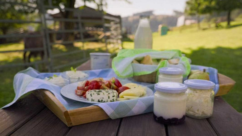 Herbář - 22. října 2023