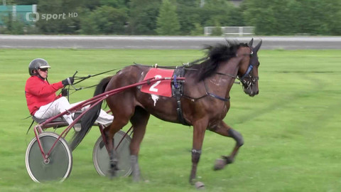 Jezdectví - Velká cena primátora hlavního města Prahy