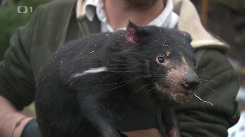 Z metropole - 15. února