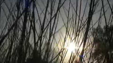 Přidej se - Dřevo se vrací