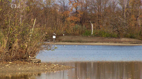 Nedej se! - Rezervace v obklíčení