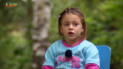 Paličky - Československo