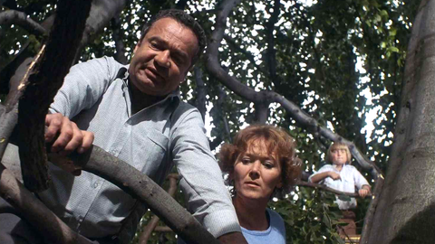 Létající Čestmír - 5/6 Rodina na větvi