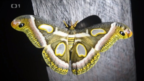 Objektiv - 16. srpna 2020