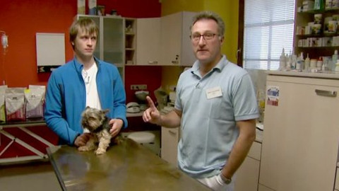 Polopatě - 27. října 2013