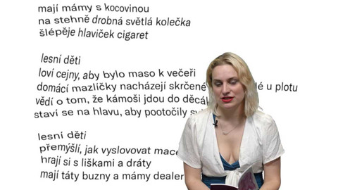 Jedna báseň - Magdalena Šipka