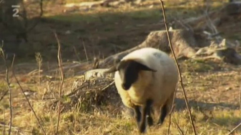 Přidej se - Soukromé rezervace