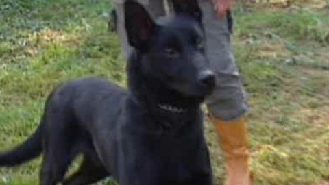 Chcete mě? - Chcete je?