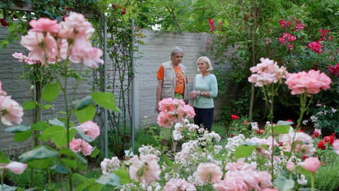 Zázračné bylinky - 2/13 Věřme lidské imunitě!