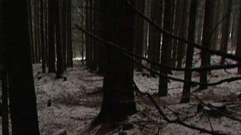 Přidej se - Jesenické podzemí