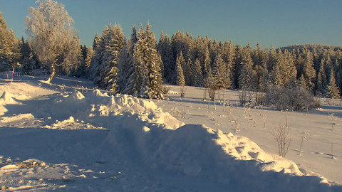 Nedej se! - Pravidla hry