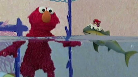 Svět Elmo - Epizoda 31/56