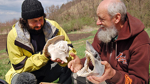 Cesta ke kameni - 4/6 První setkání s kamenem