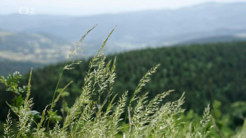 Dobrodružství vědy a techniky - Jak příroda ovlivňuje naše zdraví