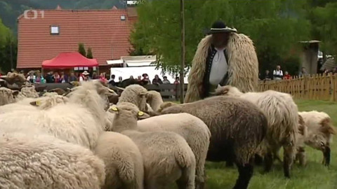 Wiadomości w języku polskim - 29. května 2016