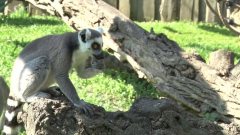 Toulavá kamera - 10. května 2020