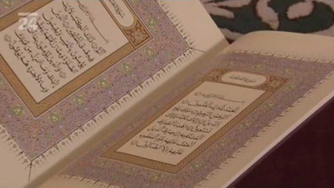 Fokus ČT24 - 25. února 2012