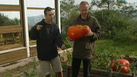 ABCD ekologie - 12/13 Biozahrada pro každého