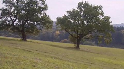 Nedej se! - Obora Radějov