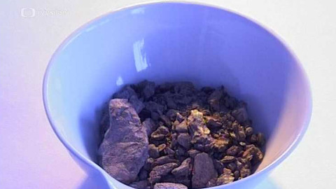 Popularis - 24. června 2004