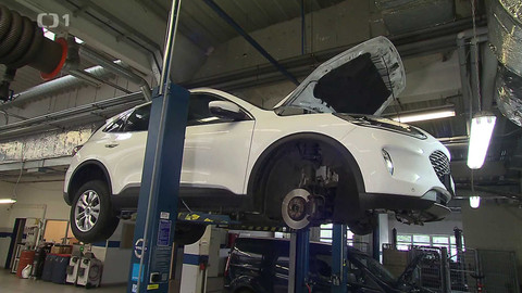 Černé ovce - 19. června 2024