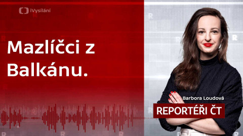 Podcast Reportéři ČT - Mazlíčci z Balkánu. Kdo, proč a za kolik do Česka vozí psy?