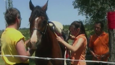 Jezdectví - M ČR v jezdecké vytrvalosti juniorů a mladých jezdců Mikulov