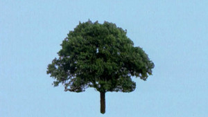 Obrázek pořadu Genus