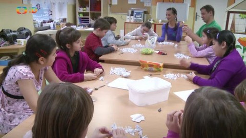 Šikulové - 23. února 2014