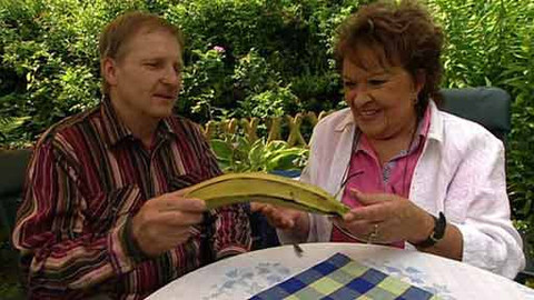 Hobby naší doby - Hoby naší doby