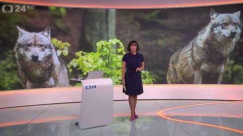 90’ ČT24 - Jak se v červenci vyvíjely ceny zboží