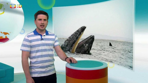 Zprávičky - 5. května 2021