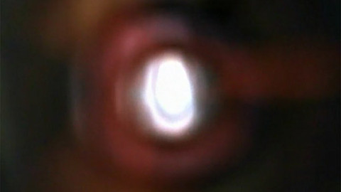 Lidské tělo - 7/8 Konec života