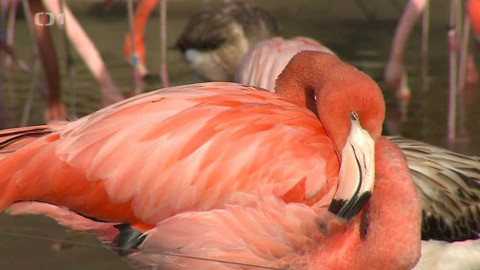 Týden v regionech (Ostrava) - 30. října 2021