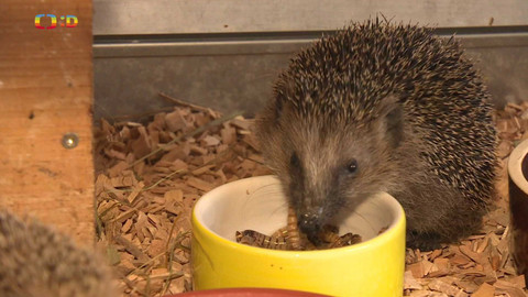 Zprávičky - 15. října 2024