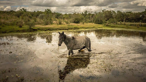 Vůně cizích krajů - Uruguay, prostá krása