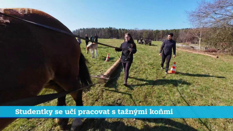 Události v regionech (jih a západ) - 3. dubna