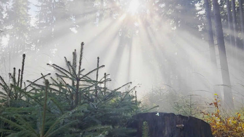 Týden v regionech (Ostrava) - 8. listopadu