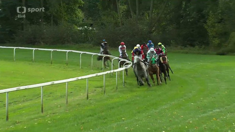 Jezdectví - Cena zimní královny