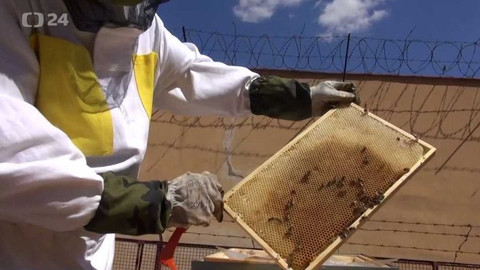 Regiony ČT24 - 23. ledna 2021