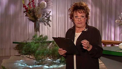 Dobrá rada nad zlato - 13. ledna 2007