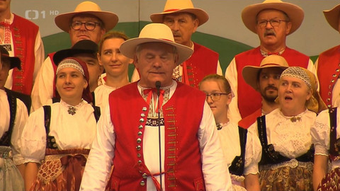 Wiadomości w języku polskim - 8. srpna 2021